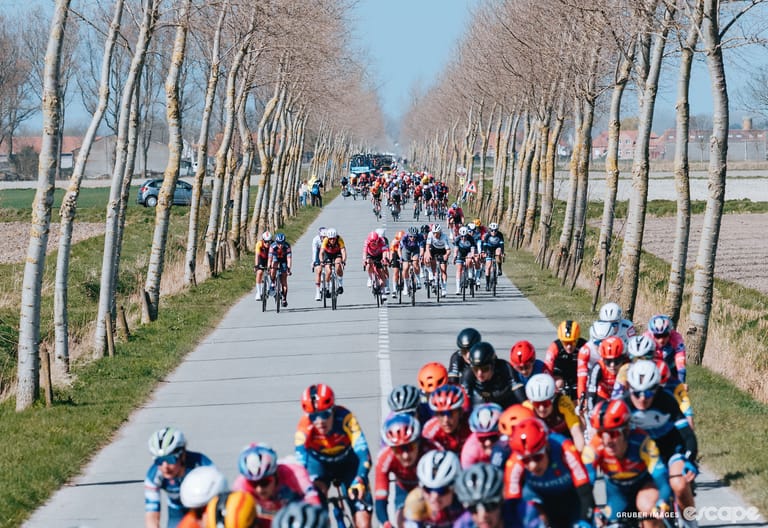 Gallery: Solo brilliance and an unbeatable sprint at Gent-Wevelgem